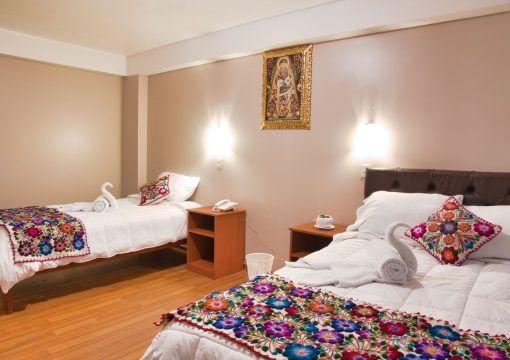 Habitacion doble (2 camas individuales)